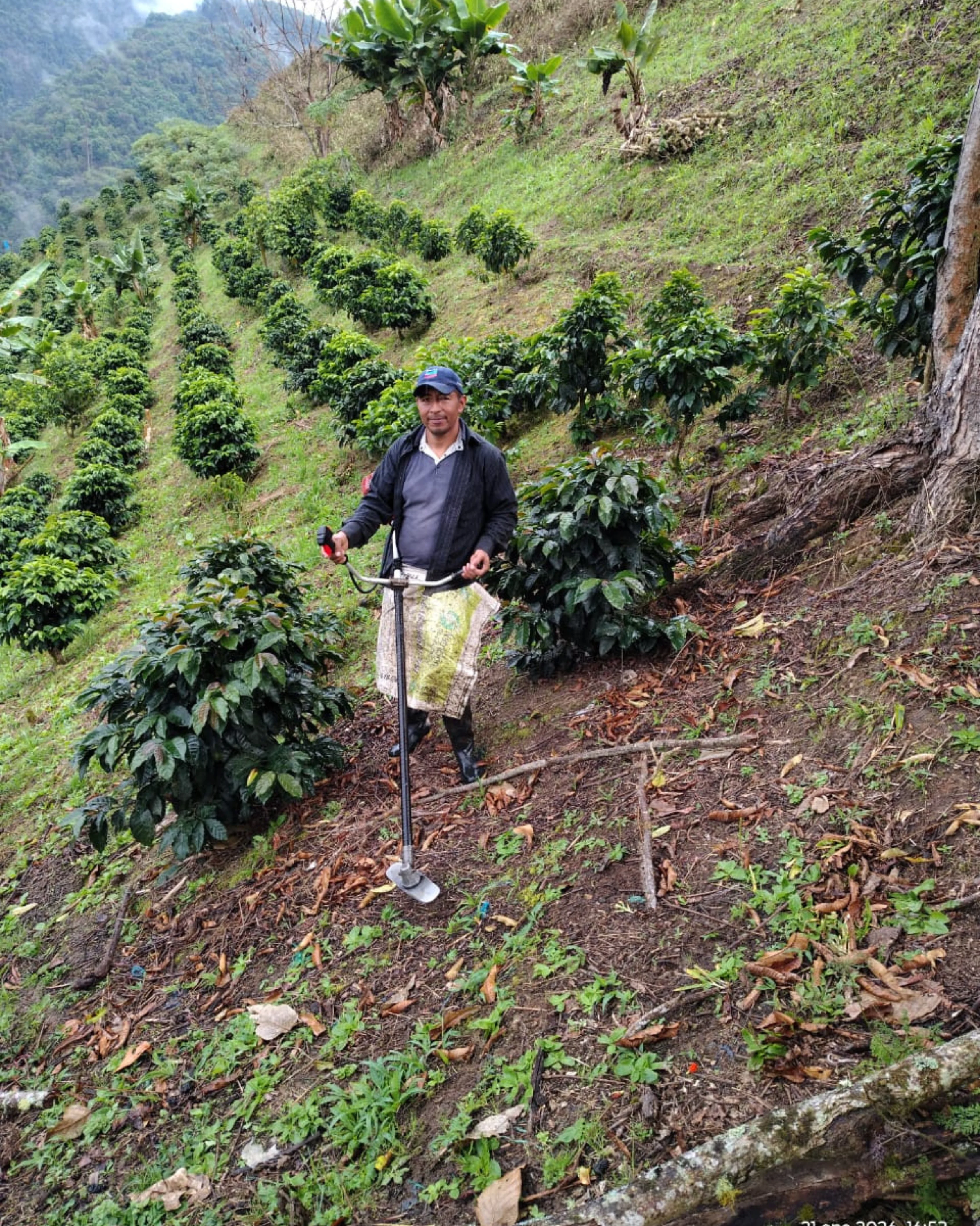 CosechaMás imagen 11