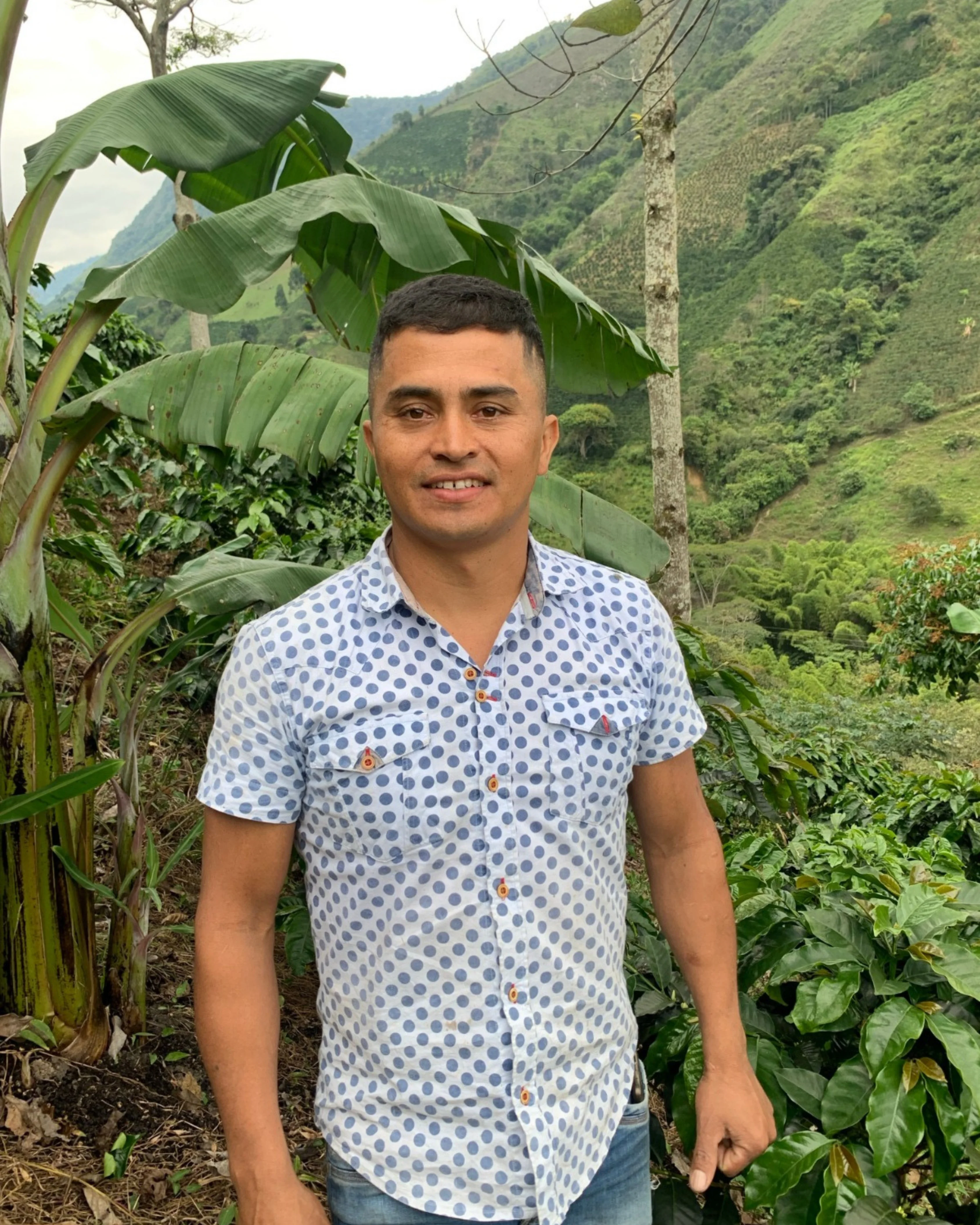 CosechaMás imagen 5