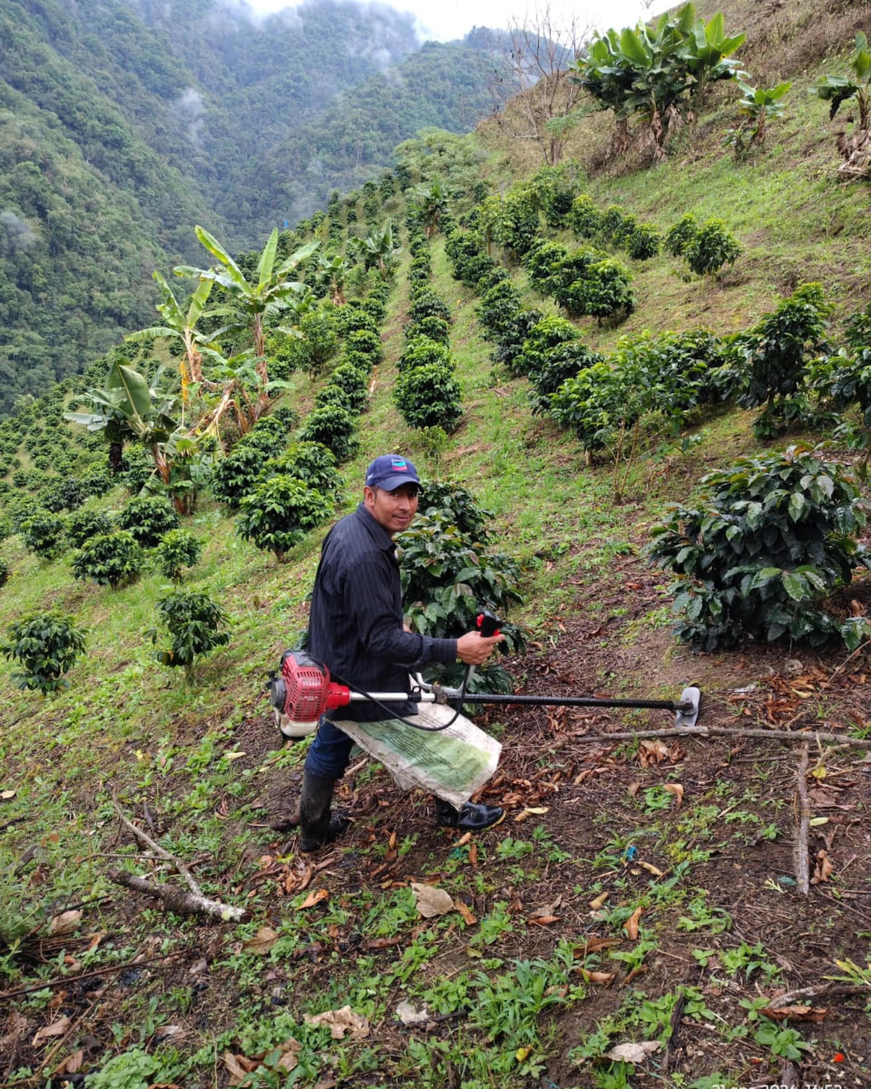 CosechaMás imagen 9